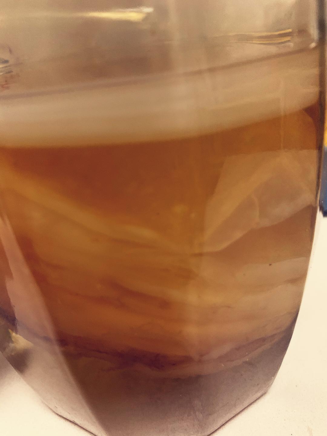 红茶菌-海宝（再续前缘）