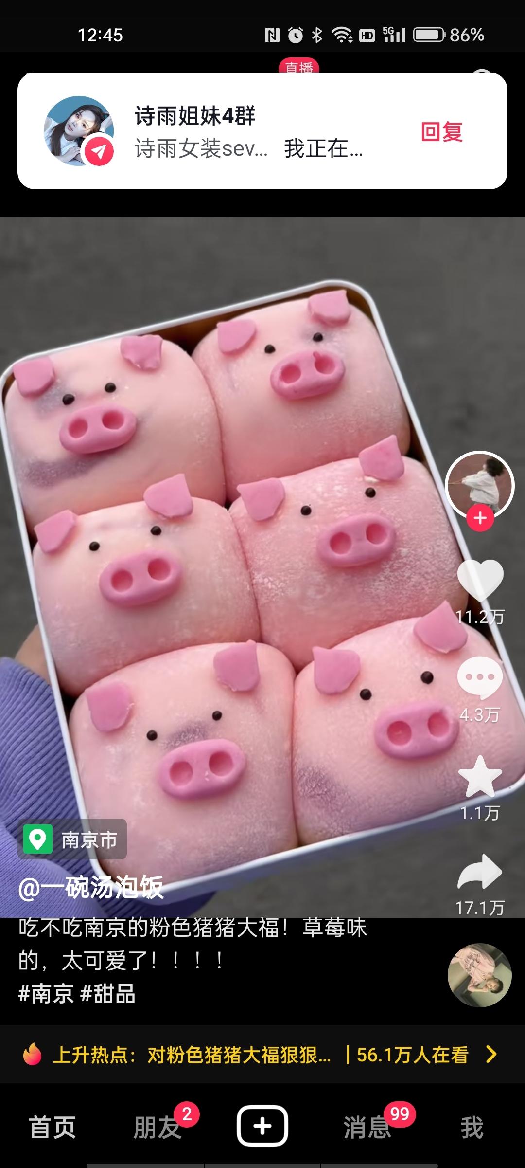 猪猪汤圆卡通汤圆大集合