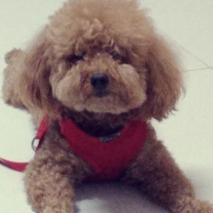 9606_bzy7