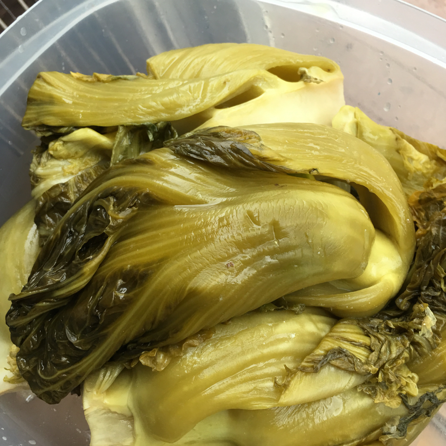 老祖宗的腌制酸菜方法（酸菜做法）