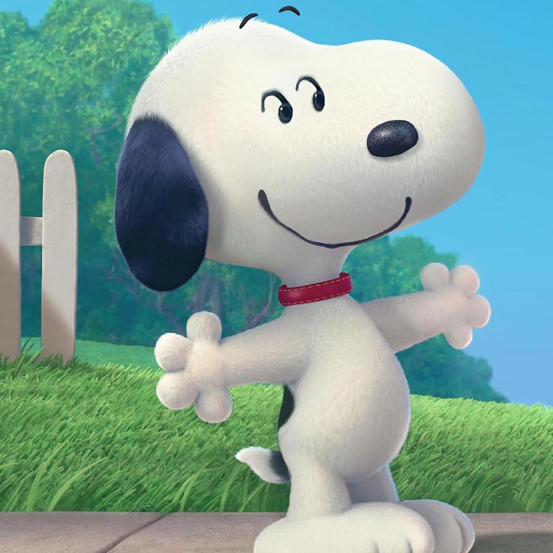 热爱生活的小吃货一枚