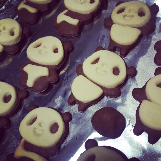 小熊猫饼干