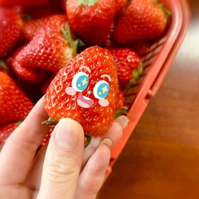 今冬第一颗草莓