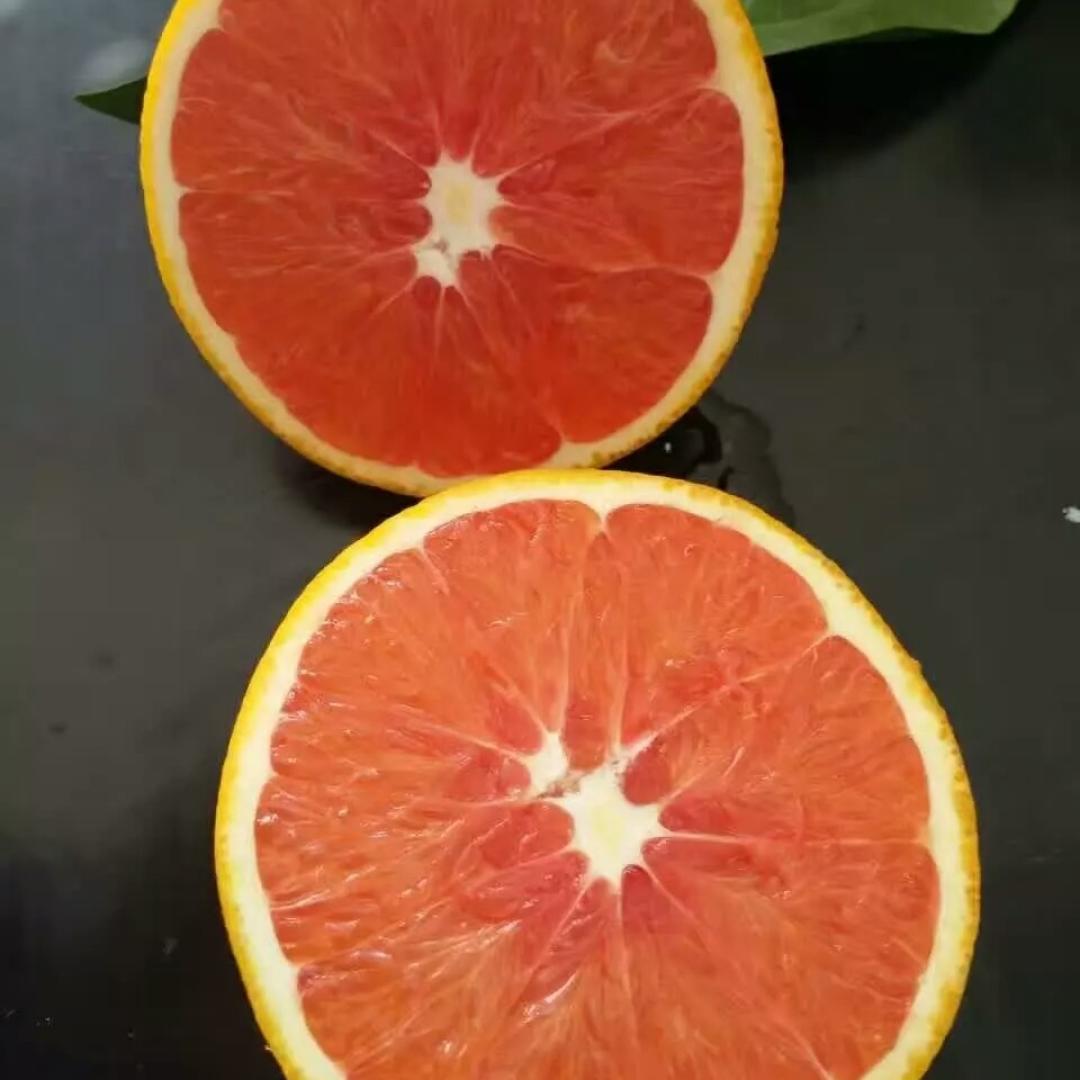 吴小岳