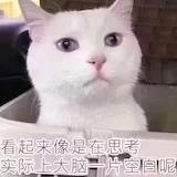 阮自加