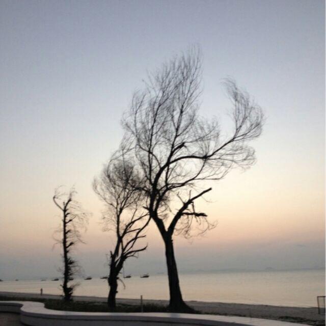 黄色的蓝