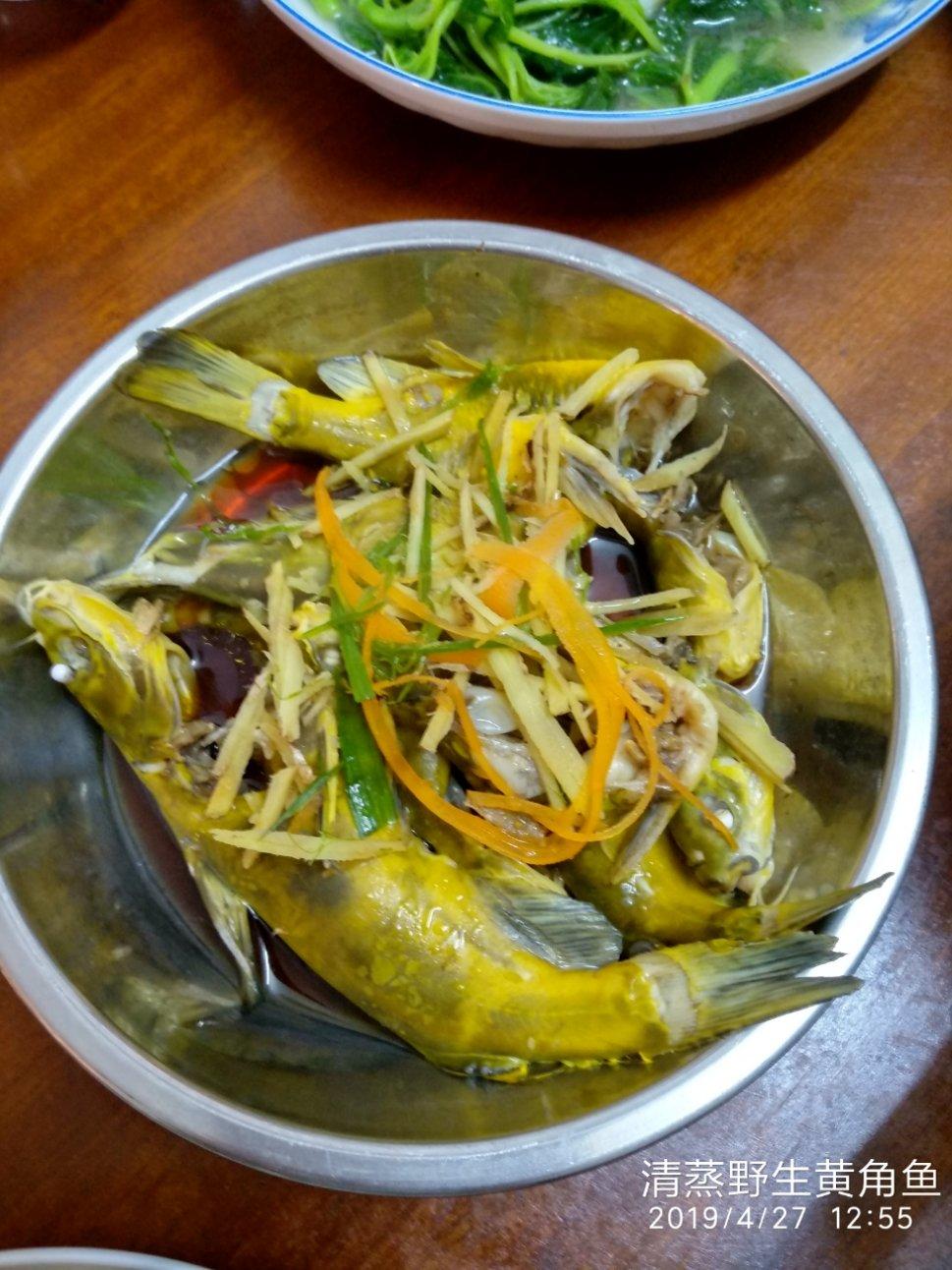 清蒸黄骨鱼