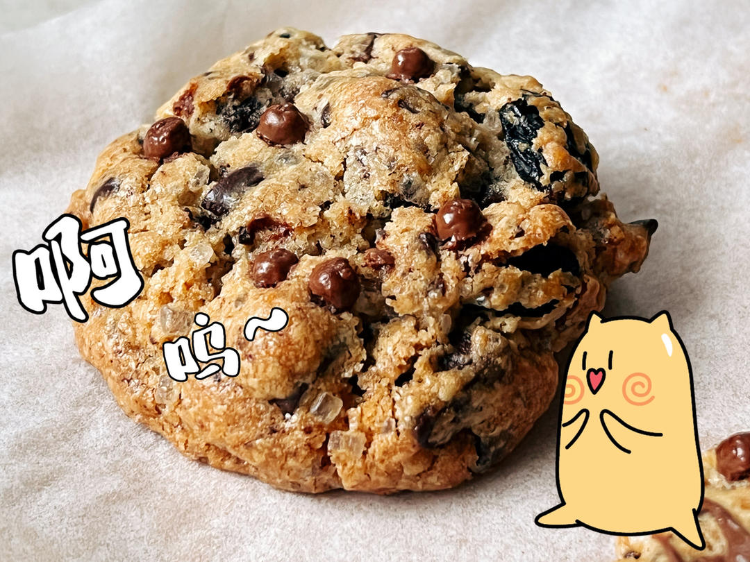 香草海盐巧克力大曲奇