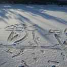 手机用户6954_23ju