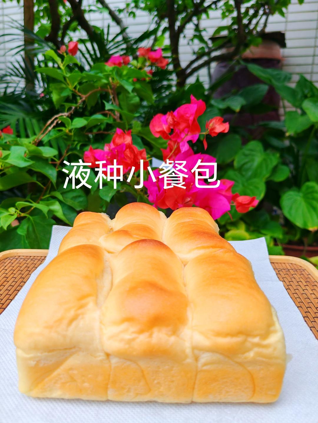 液种小餐包-简单好吃软到不知所措