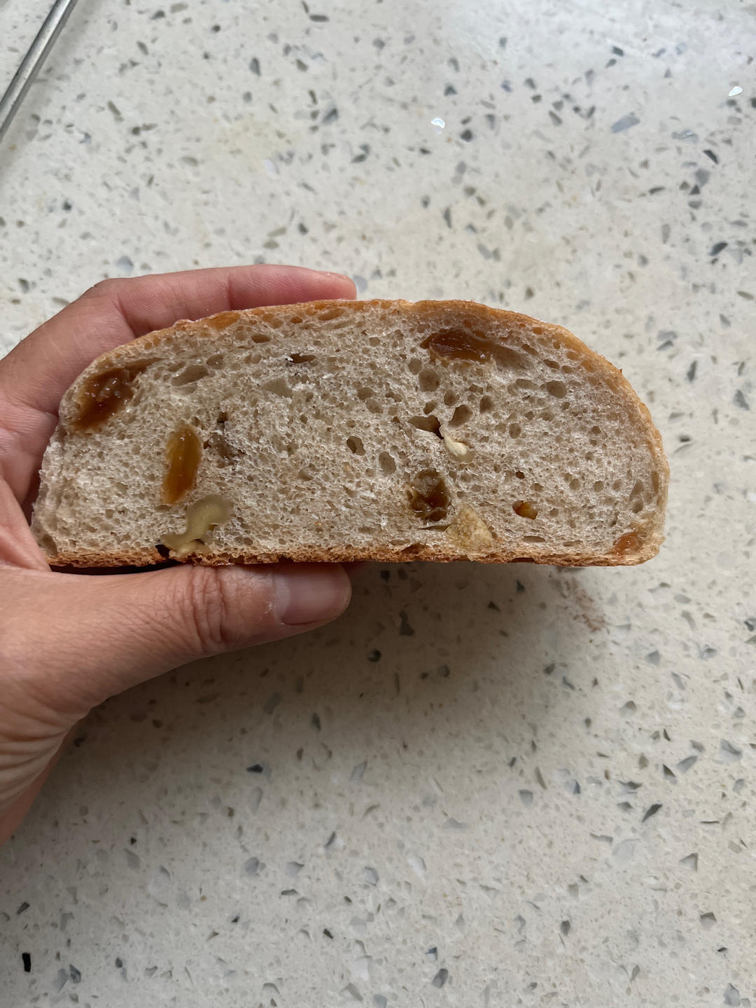 全麦蔓越莓核桃软欧包