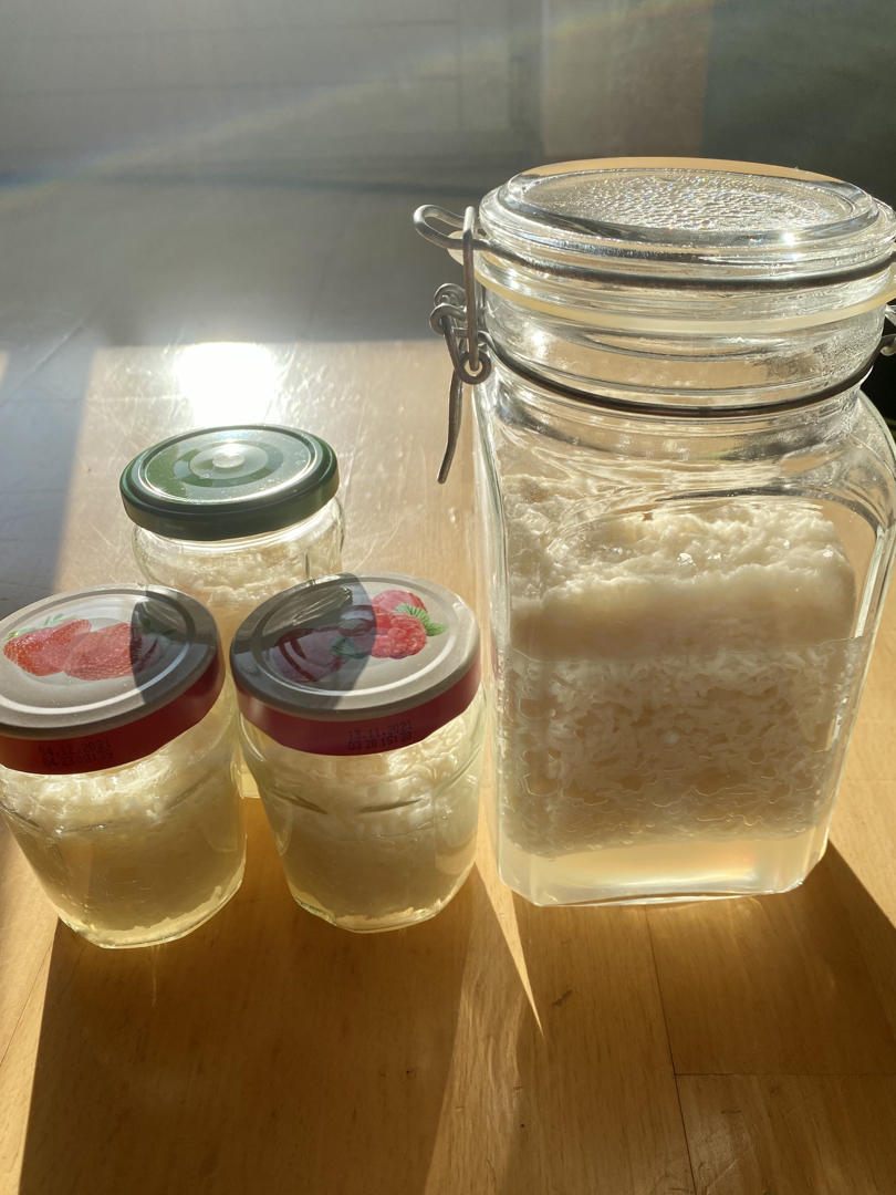 酒酿 (酒酿系列一）