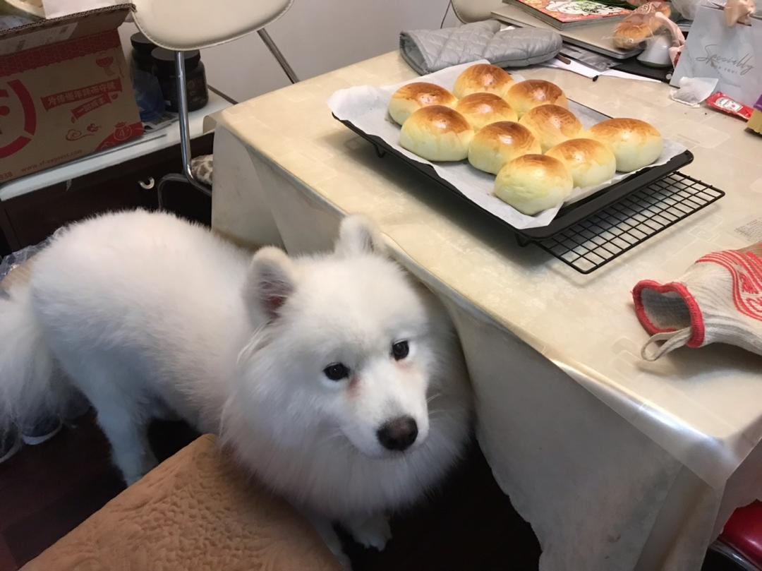 简单易做的豆沙小餐包