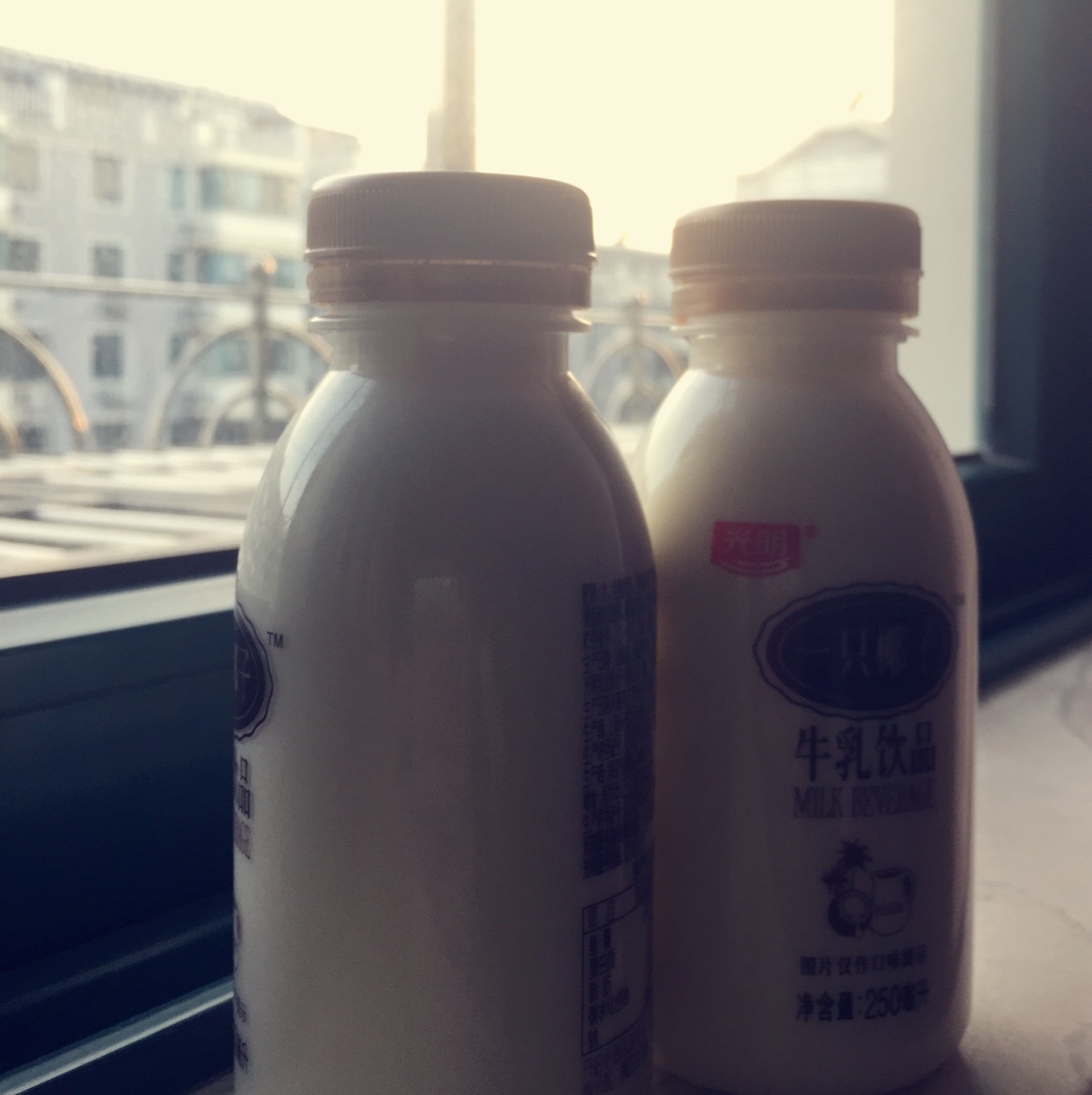 自制酸奶（面包机版）