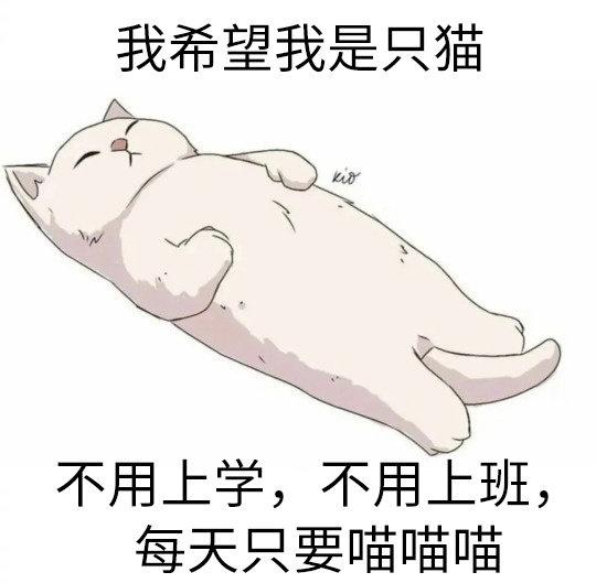 川味：椒麻一切