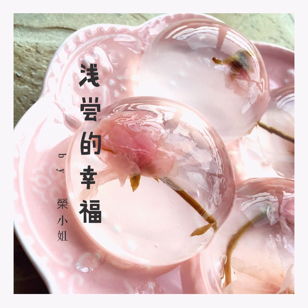日本最温柔的梦幻和菓子 — 水信玄饼
