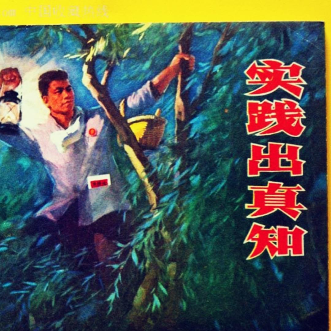 1匹大塩辛魚