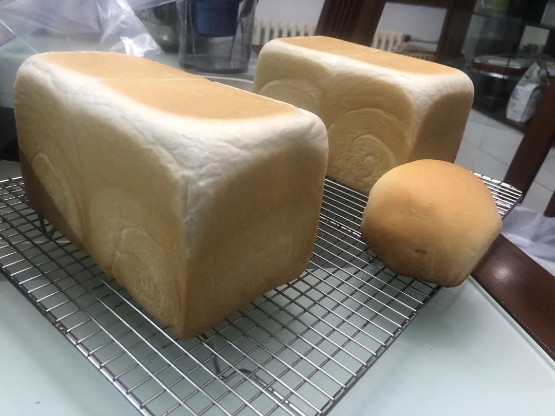 日式生吐司 中种法