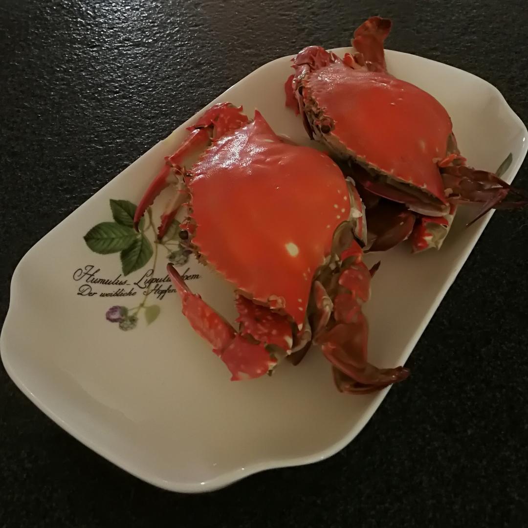 各种海鲜