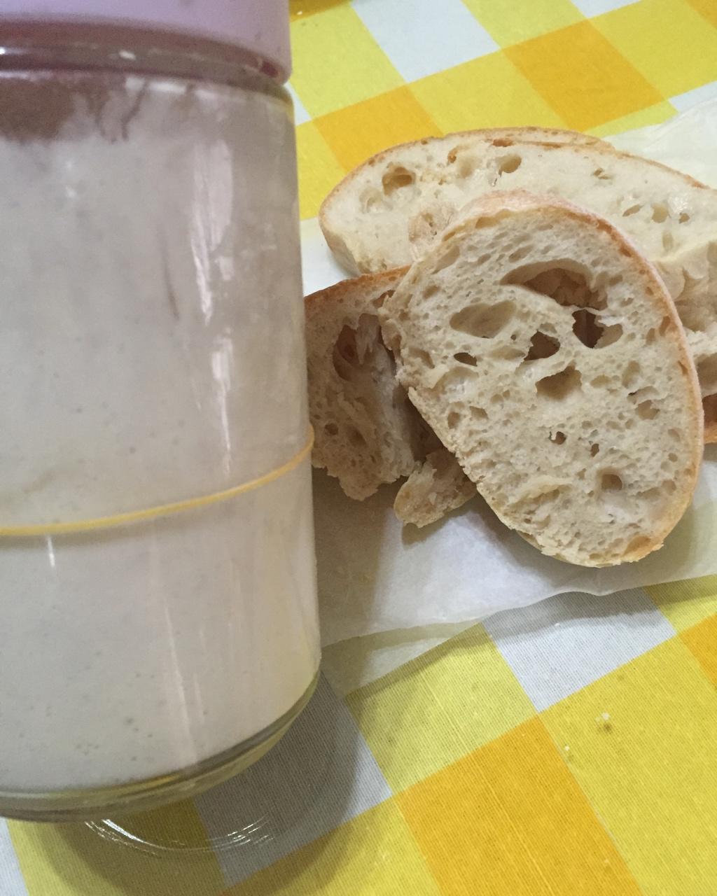 自制宠物-天然柠檬酵母