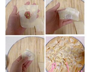 酸汤馄饨（含小馄饨包法、酸汤调法）的做法 步骤3