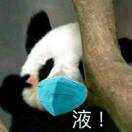 林音风暴