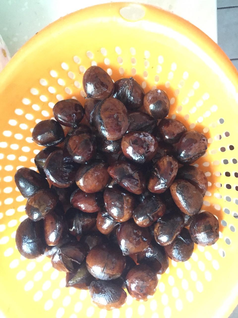 慵懒美丽的栗子