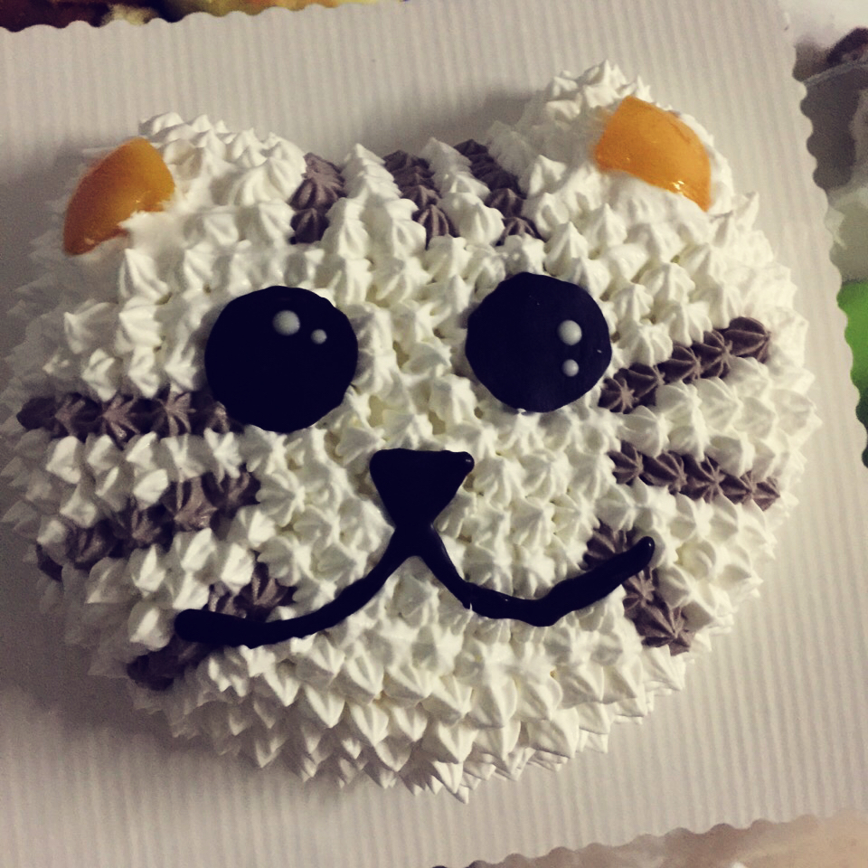 猫咪生日蛋糕