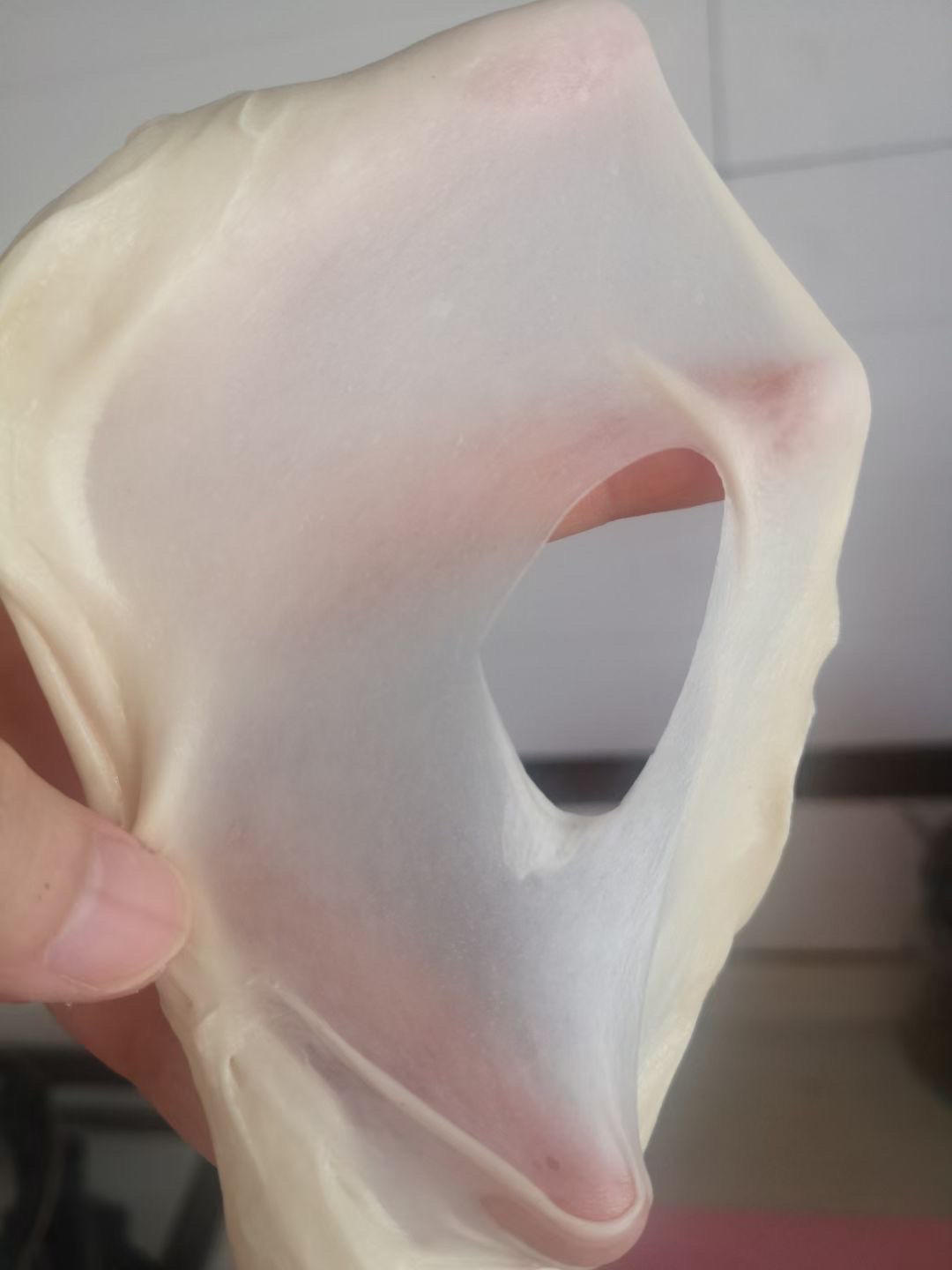椰蓉小羊or椰蓉小章鱼🐙