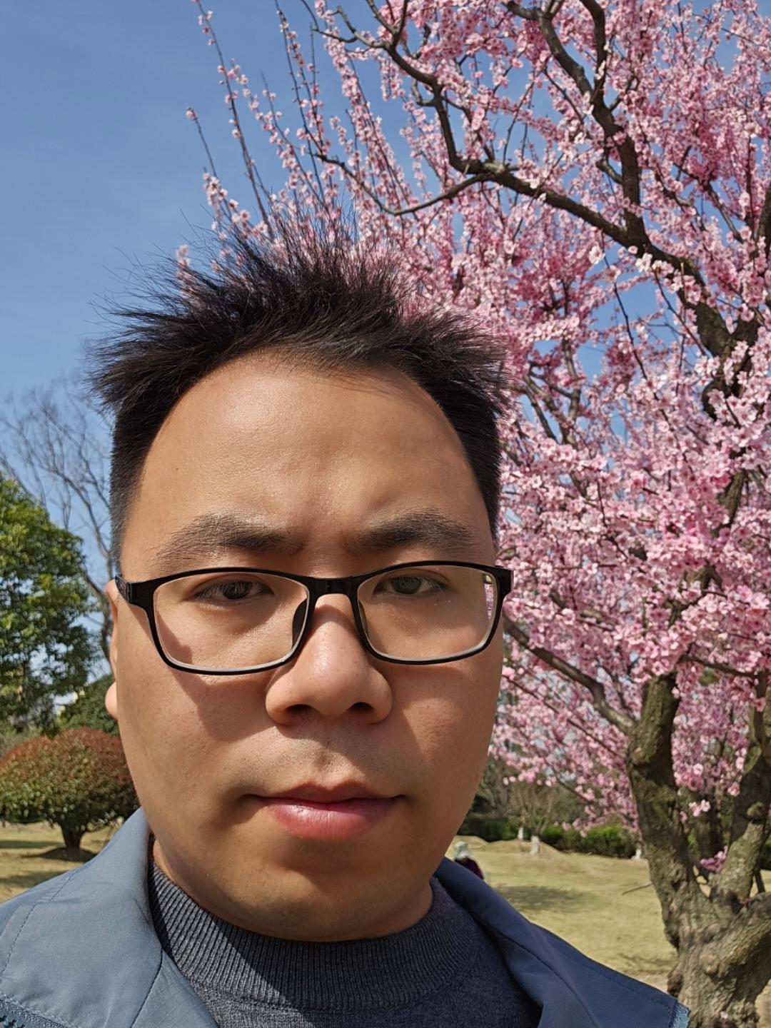 种子的愿望