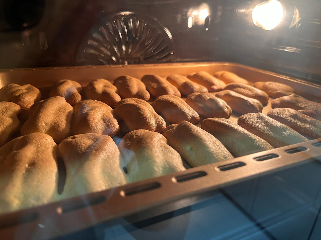 手指饼干-提拉米苏