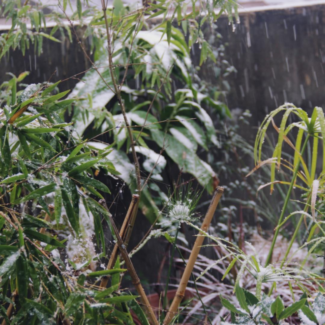 你们可以叫我音音