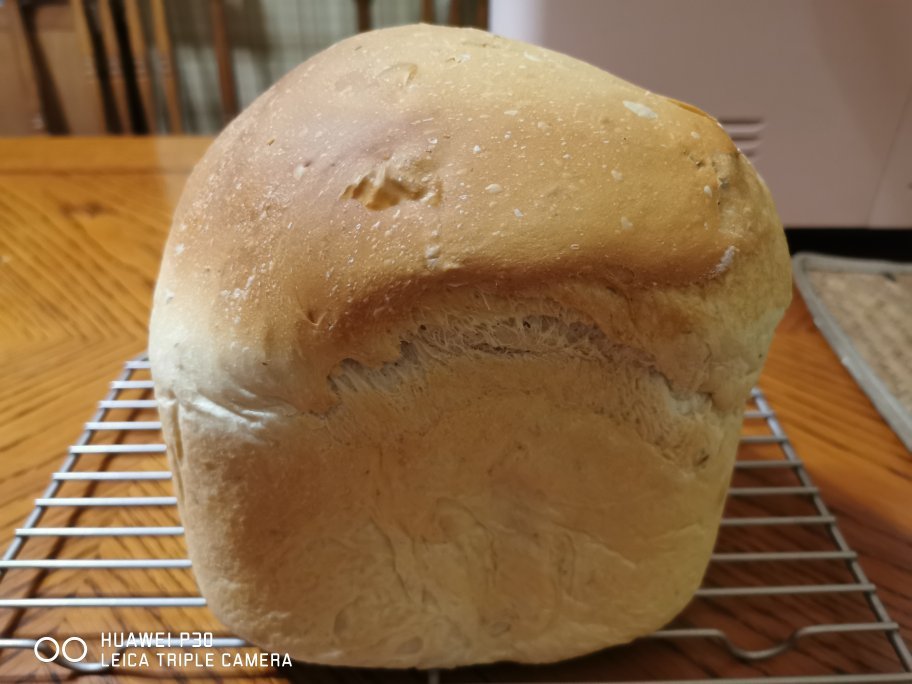 【庞多米】（懒人版预约泡面法）-面包机让生活变得轻松