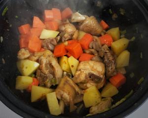 宿舍版胡萝卜土豆炖鸡肉的做法 步骤5