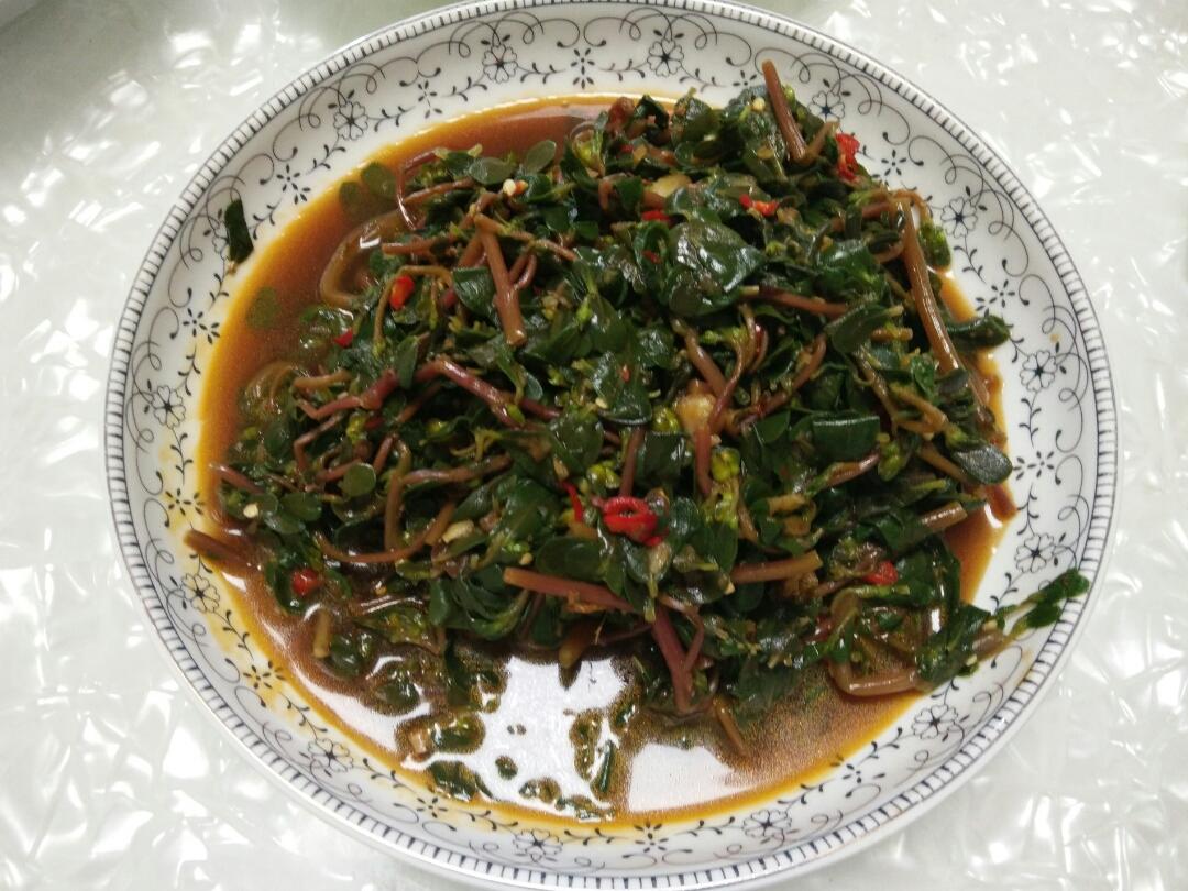 凉拌马马菜（凉拌马齿苋）