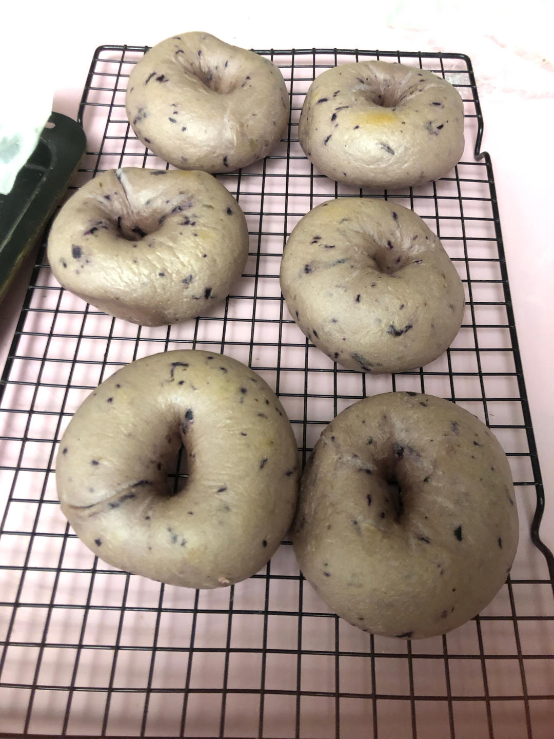 蓝莓🫐乳酪贝果🥯/步骤详细/简单好做