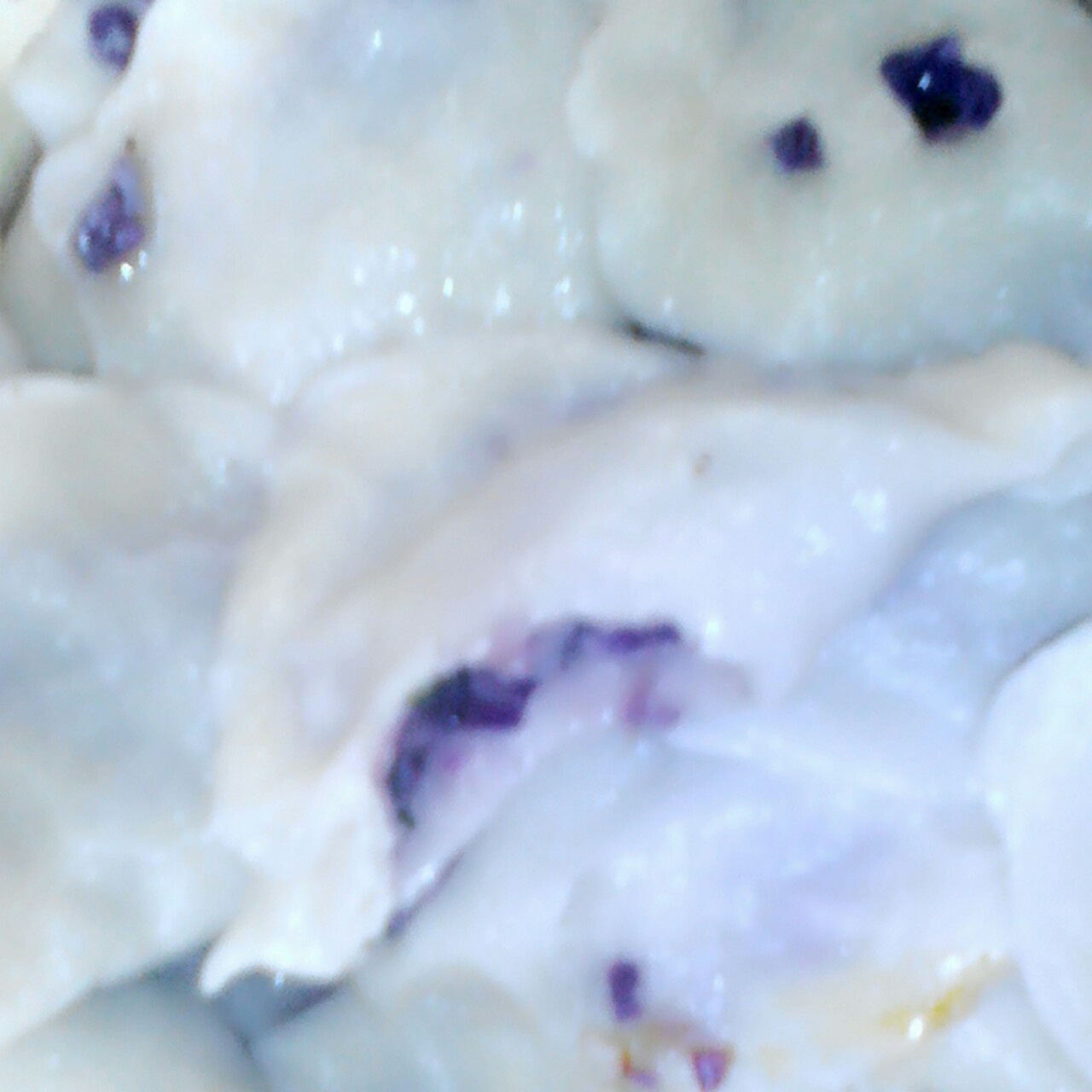 紫甘蓝大肉饺子