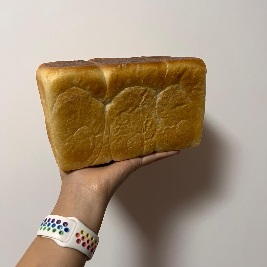🍱每日の食