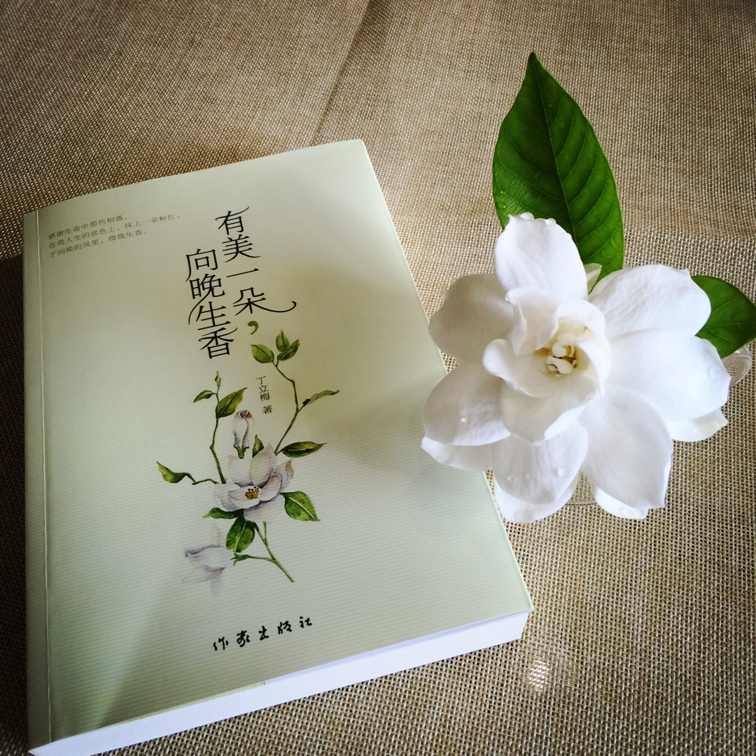 蔓草生香