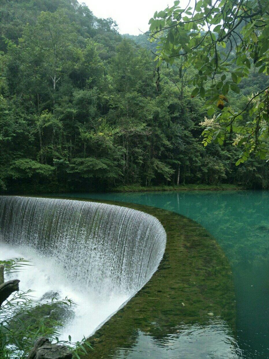 不言不语都是好风景