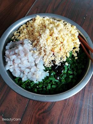 超好吃的韭菜虾仁鸡蛋三鲜馅水饺的做法 步骤5