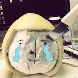 小奈奈就要叫小奈奈