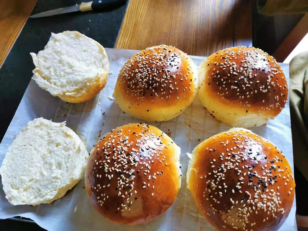 汉堡面包/面坯（波兰种）