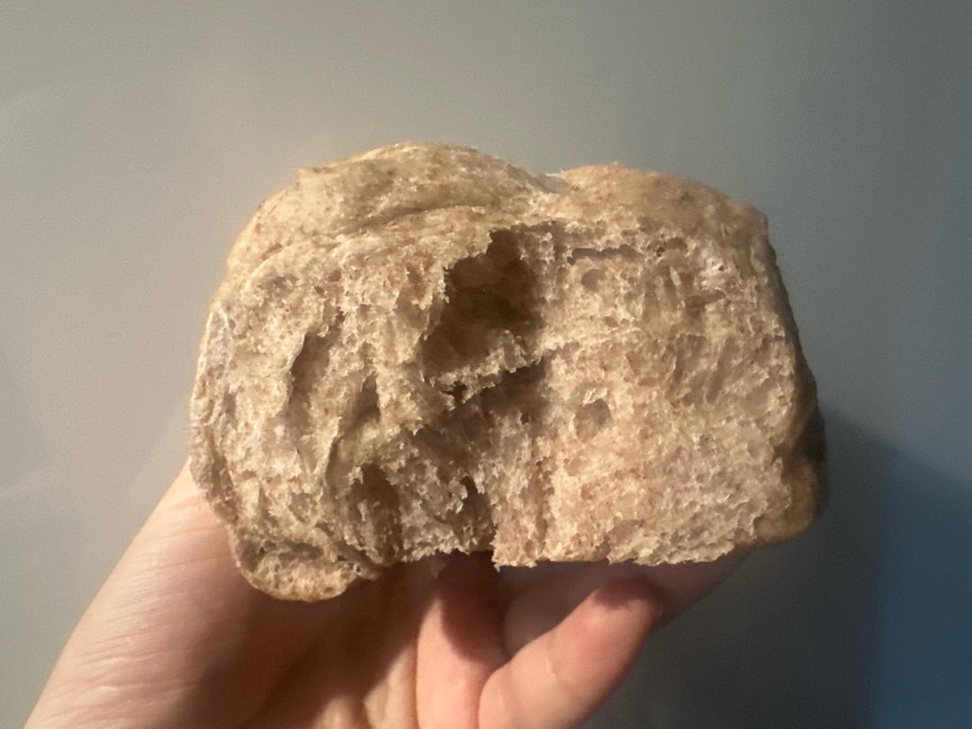 好吃的全麦小餐包（一次发酵）