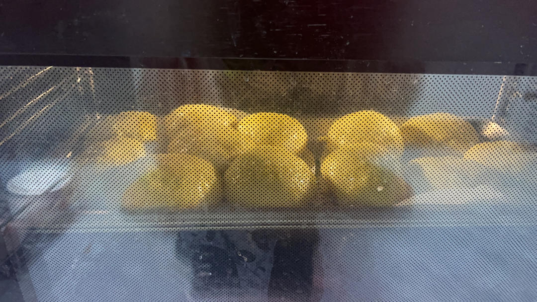 椰蓉餐包（一次发酵，玉米油版，或黄油）
