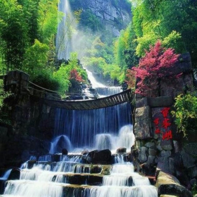 在  路上