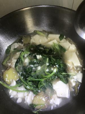 鸡毛菜榨菜豆腐汤的做法 步骤2
