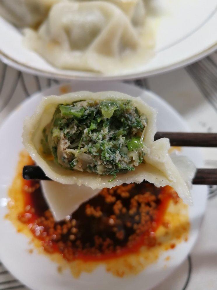 荠菜鲜肉饺子