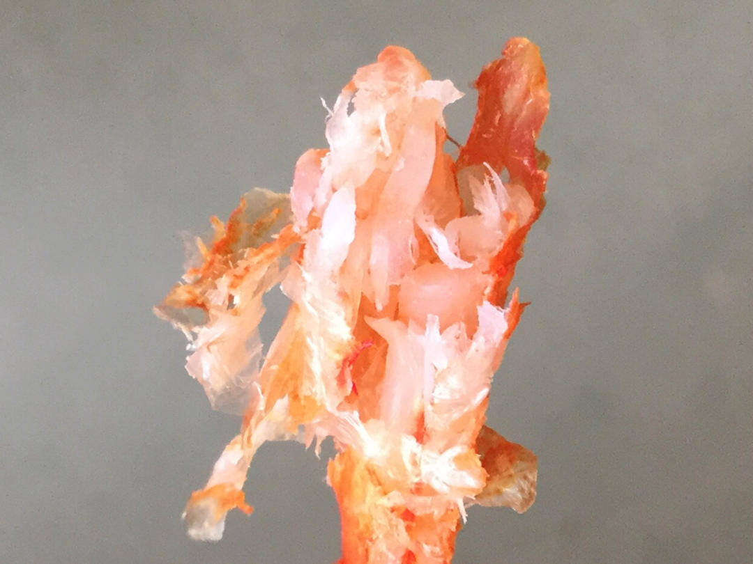 烤虾干（烤箱版）