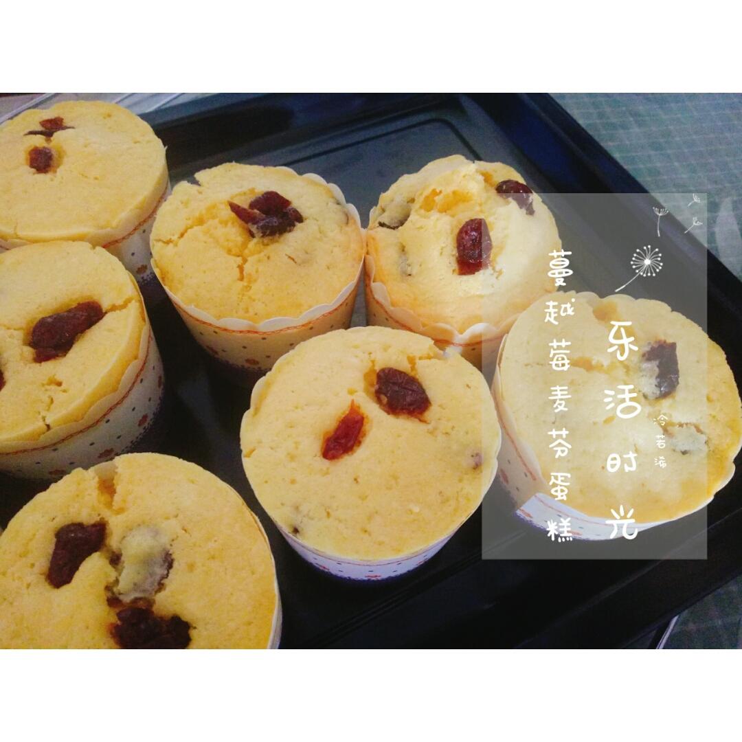 0失败的葡萄干麦芬
